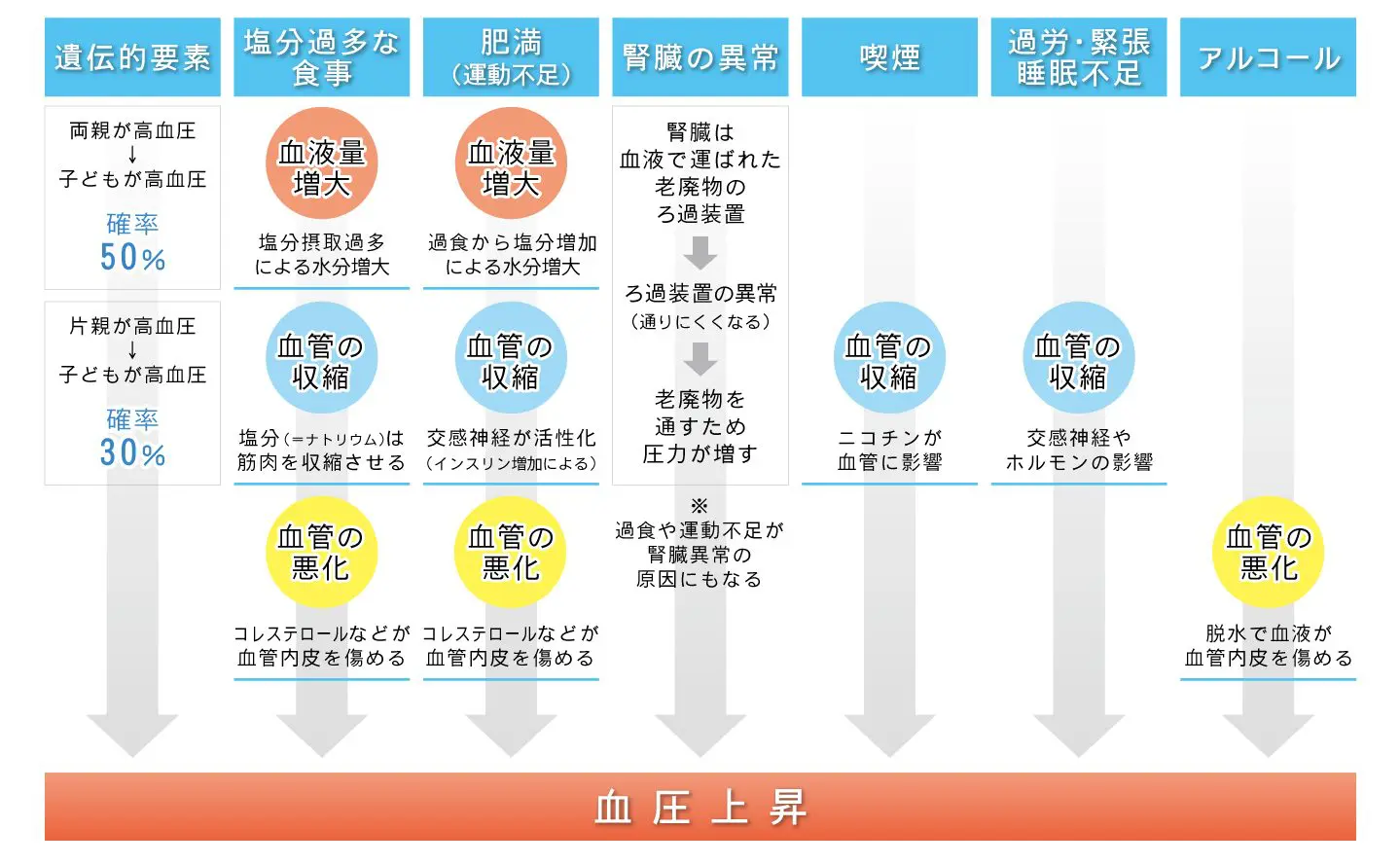 高血圧について | 横浜南まほろば診療所